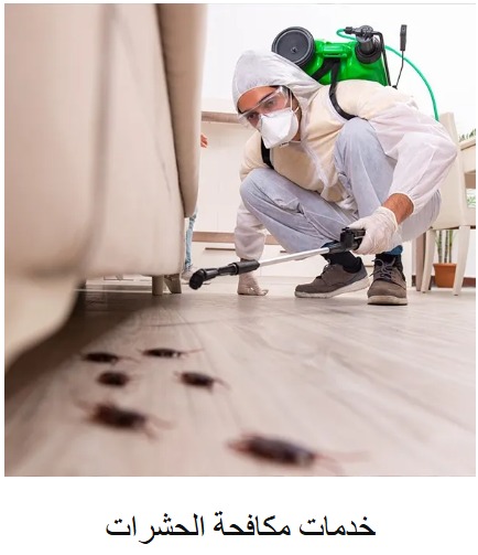 اي بلاس للتنظيفات 6