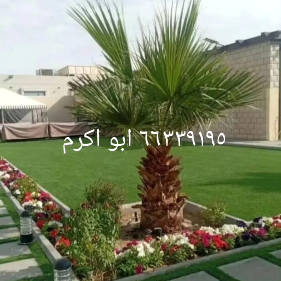 ابو كرم لتنسيق الحدائق 9