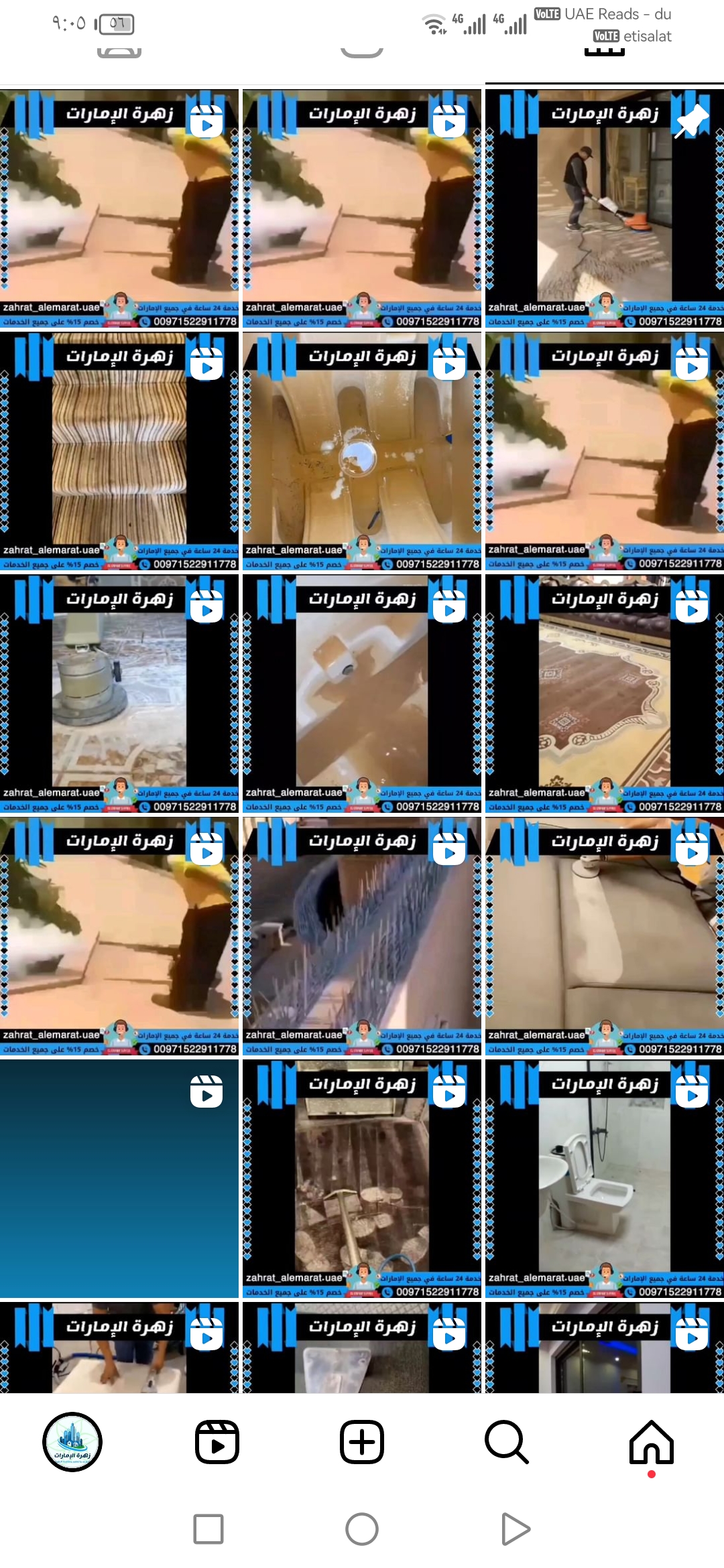زهرة الامارات تنظيف كنب سجاد ومكافحه الحشرات 2