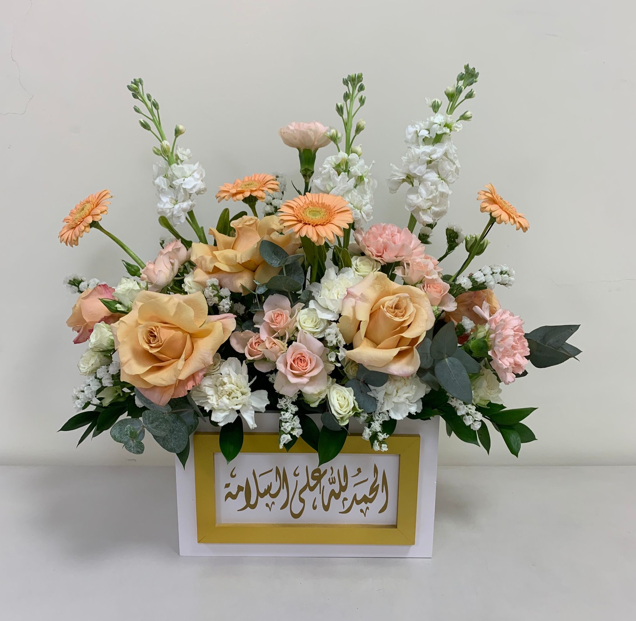 هديتي 17