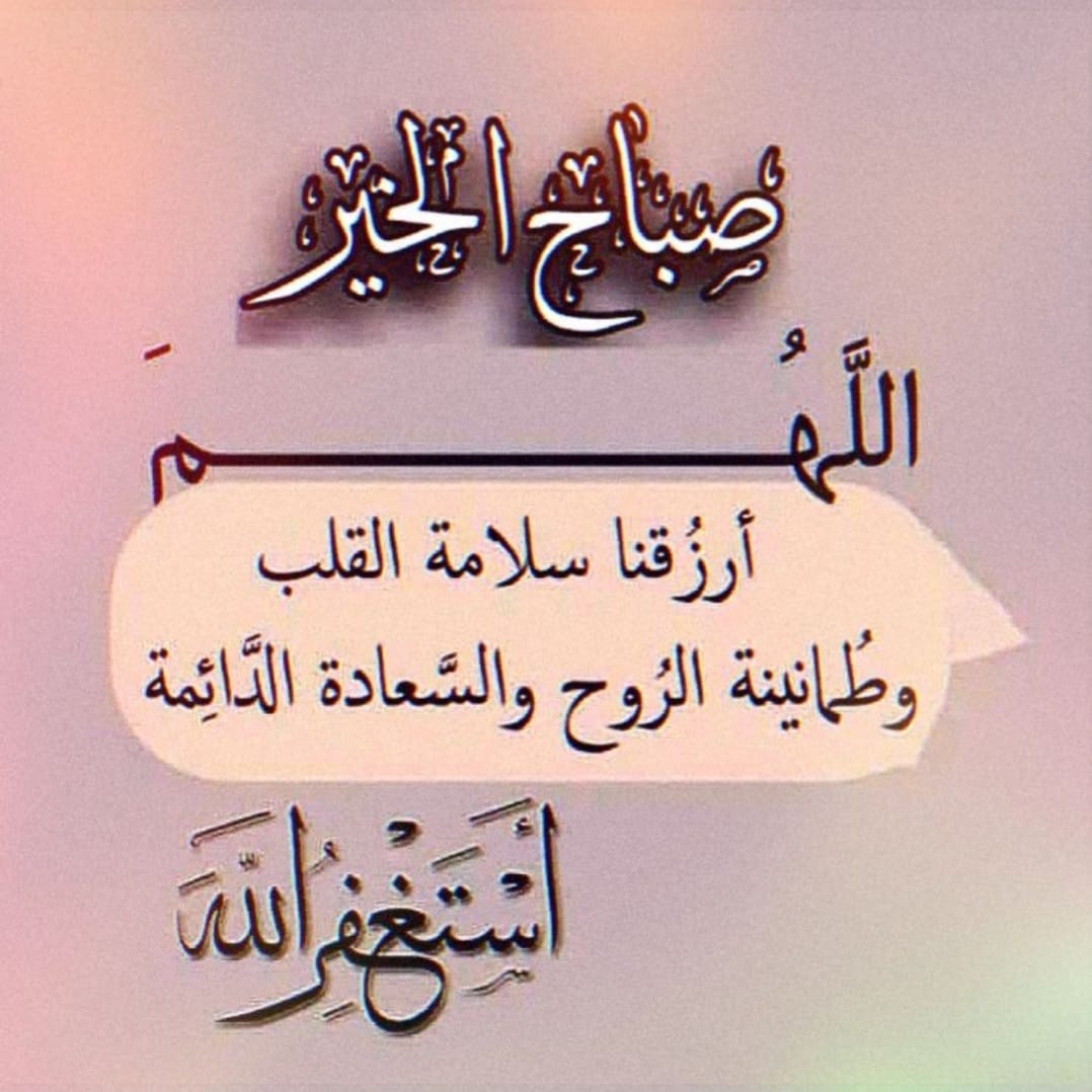 تدريس كل المواد ابتدائي واعدادي 2