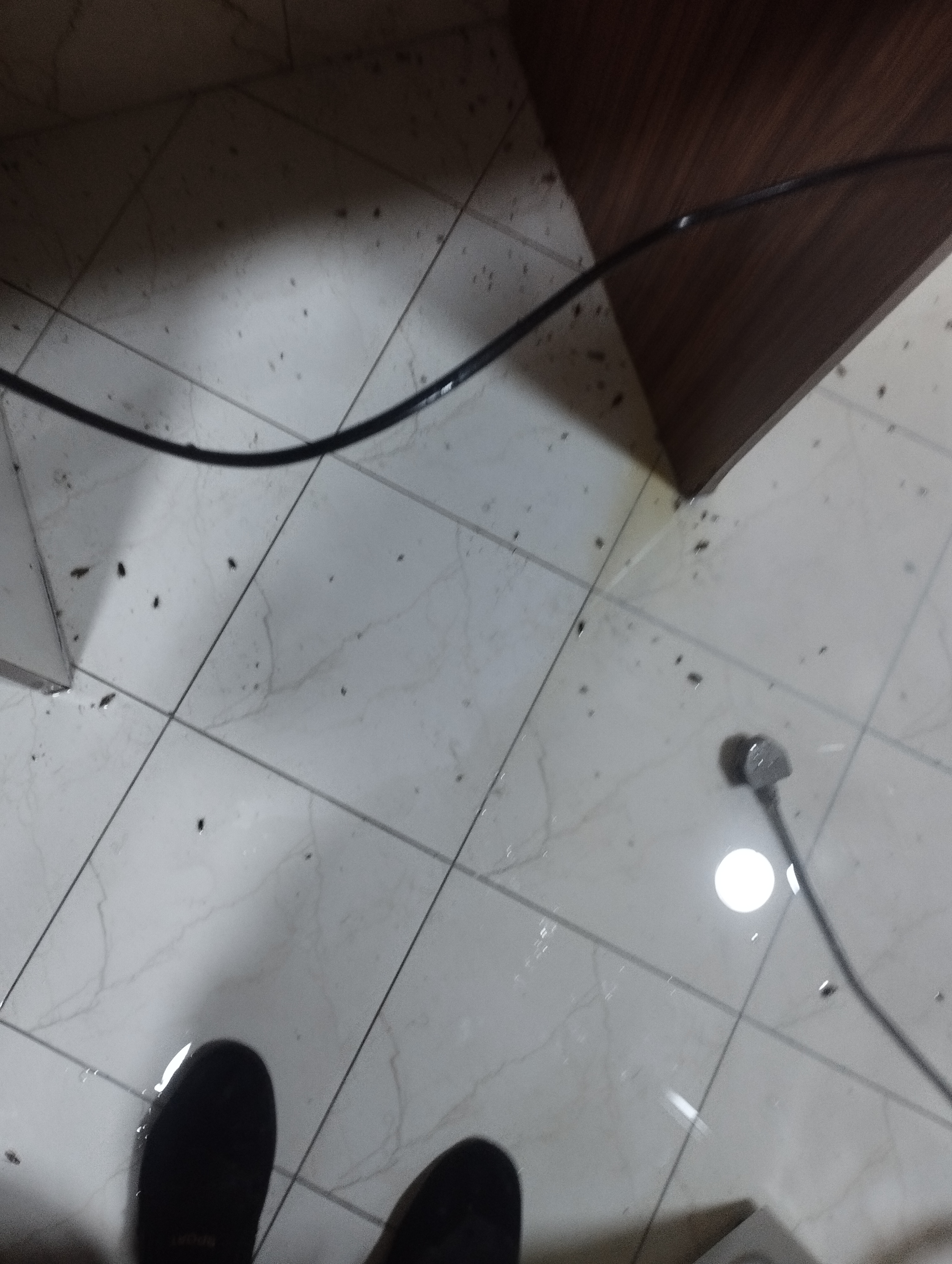 الدوحه 5