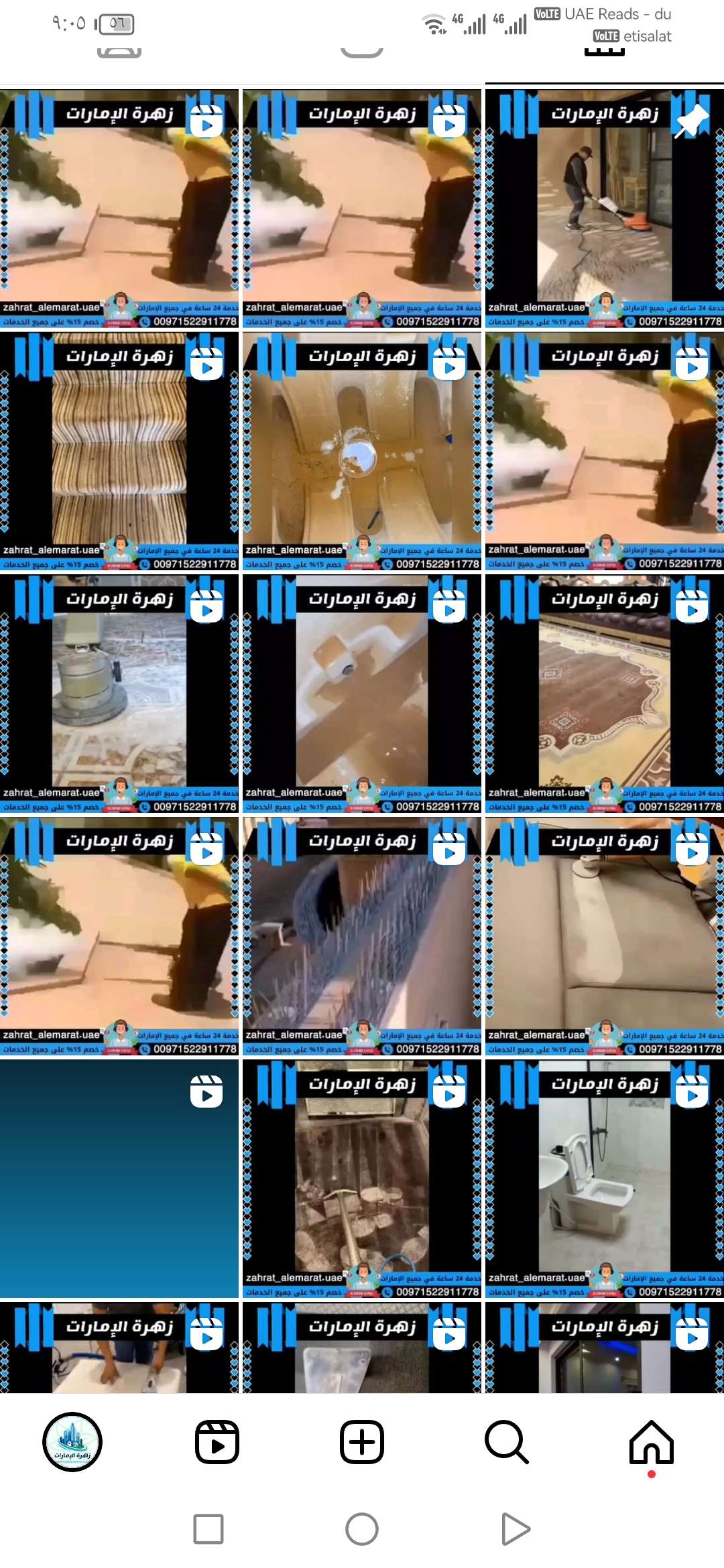 زهرة الامارات تنظيف كنب سجاد ومكافحه الحشرات - مكافحة الحشرات - في قطر
