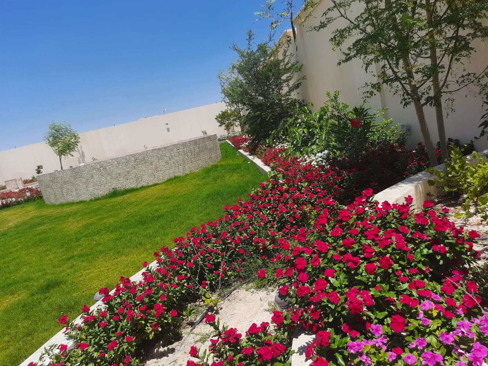 أعمال الزراعه والديكور وشبكات الري - تنسيق الحدائق والزراعه - في قطر