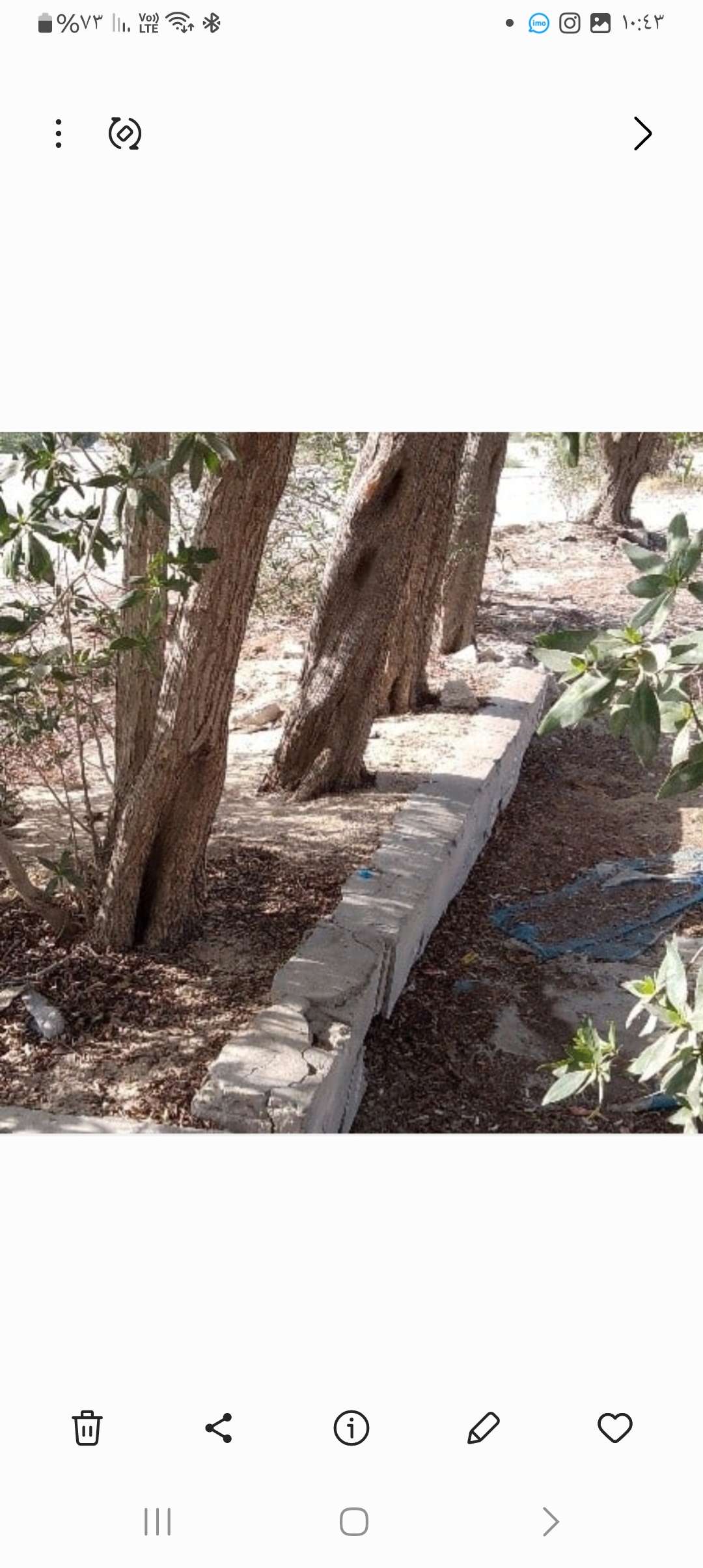 قص وتقطيع الأشجار الخضراء واليابسه الكبيره والصغيره وتنظيف الحوش ونقل الكشره - تنسيق الحدائق والزراعه - في قطر