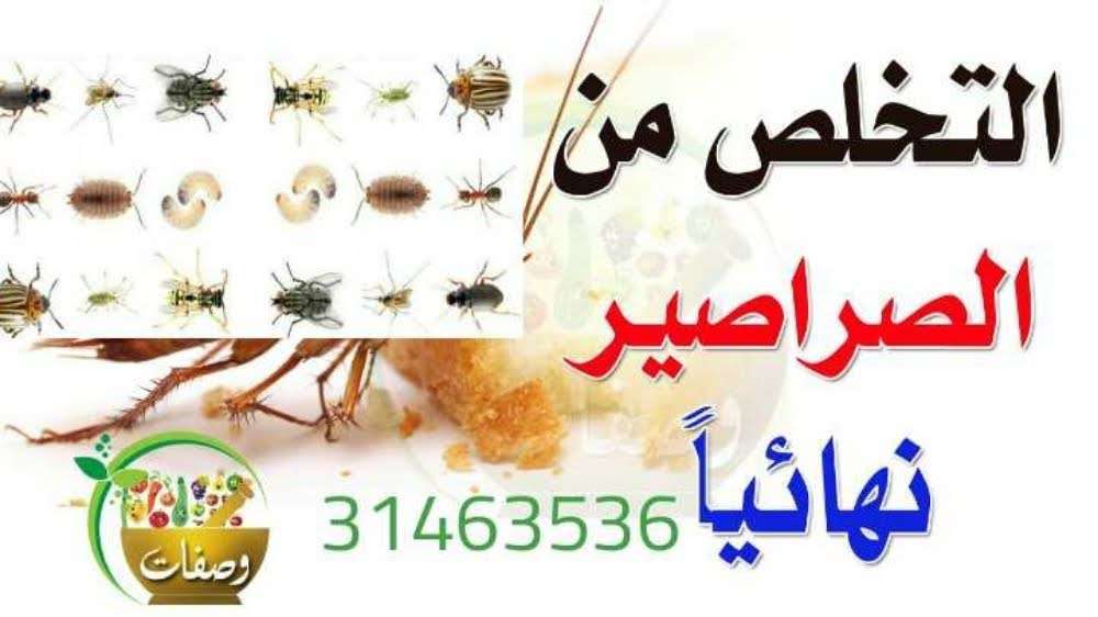 شركة مكافحة الحشرات - مكافحة الحشرات - في قطر