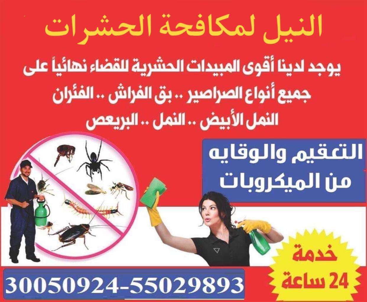 مكافحه الحشرات والتعقيم - مكافحة الحشرات - في قطر