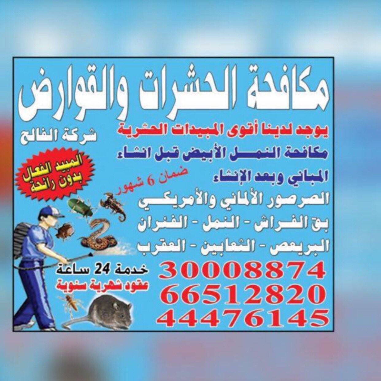 مكافحة الحشرات والقوارض - مكافحة الحشرات - في قطر
