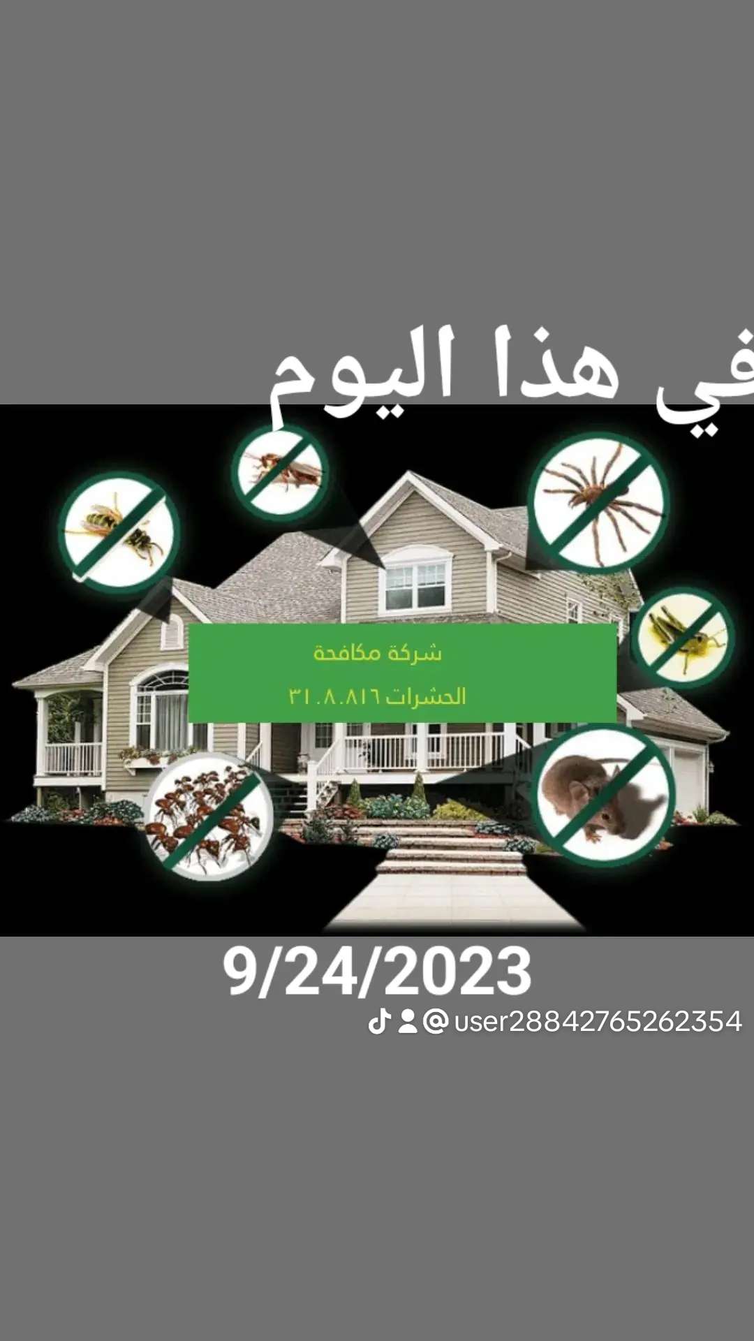 شركة مكافحة الحشرات - مكافحة الحشرات - في قطر