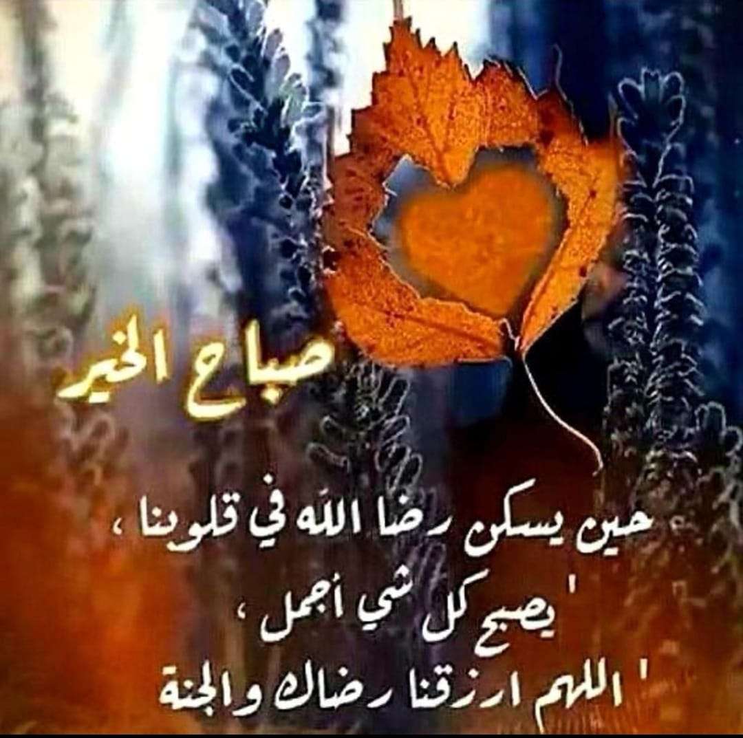 تدريس لغه عربيه وانجليزيه - متفرقات - في قطر