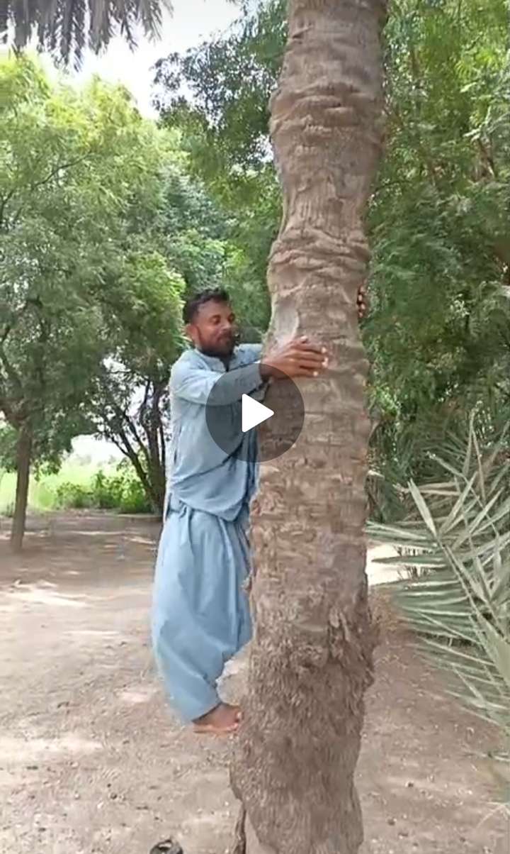 مطلوب وظيفه مزارع - الباحثين عن عمل - في قطر