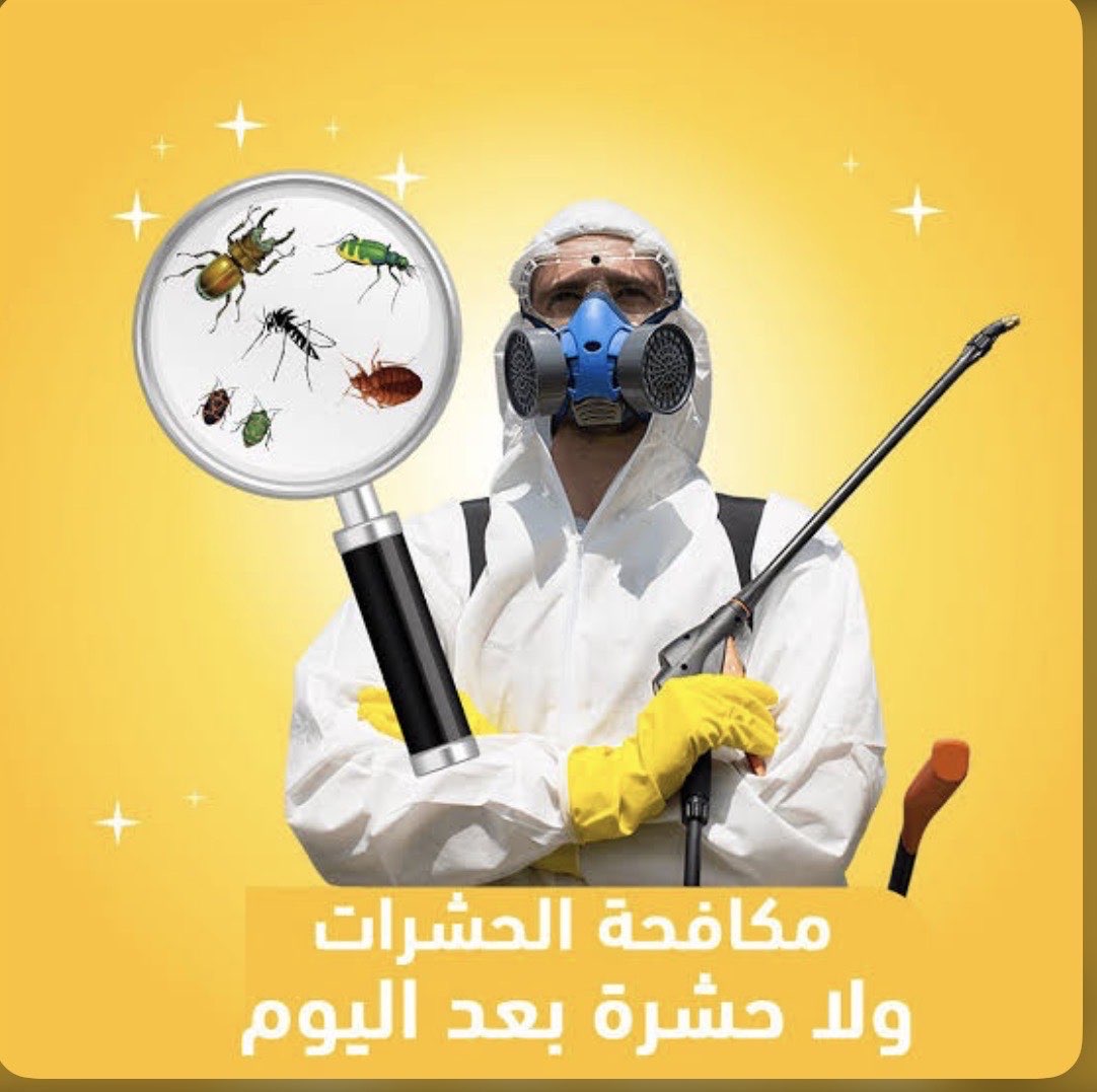 مكافحة حشرات - مكافحة الحشرات - في قطر