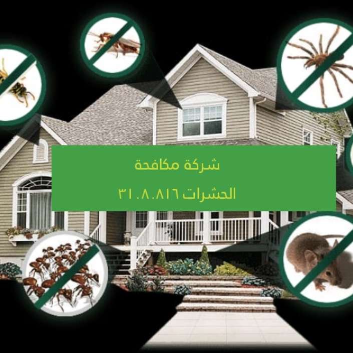 شركة مكافحة حشرات - شركات الضيافة و النظافة - في قطر