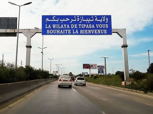 أرض فلاحية للبيع بمساحة 10 هكتارات في تيبازة الجزائر - الدوحة - في قطر