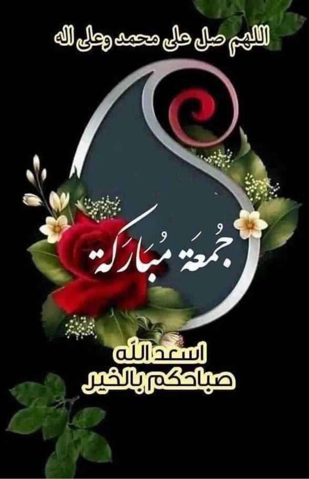 تدريس وتأسيس صغار وكبار - متفرقات - في قطر