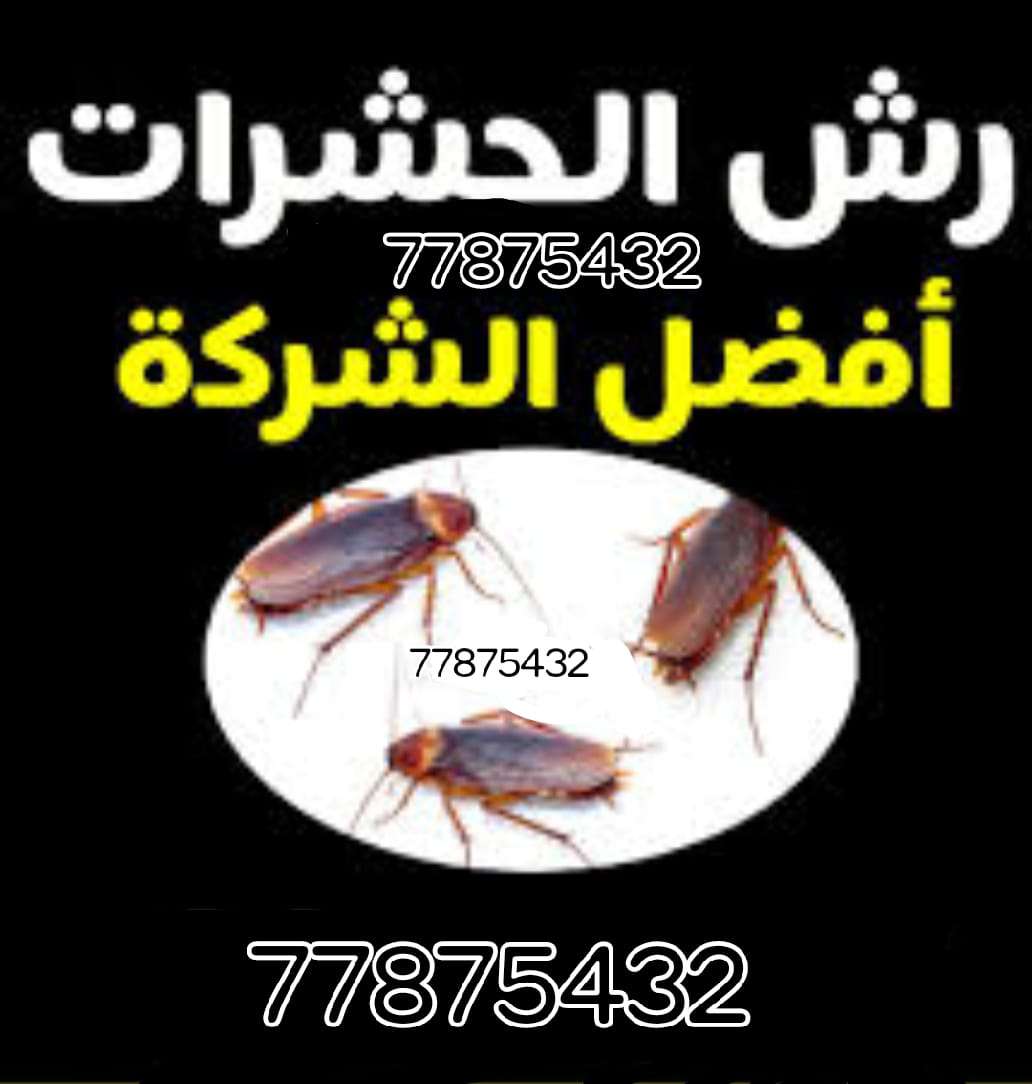 شركة مكافحة حشرات - مكافحة الحشرات - في قطر